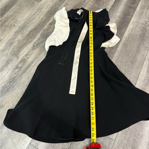 Cinq a Sept Black Ruffle Dress - Picture 15 of 15